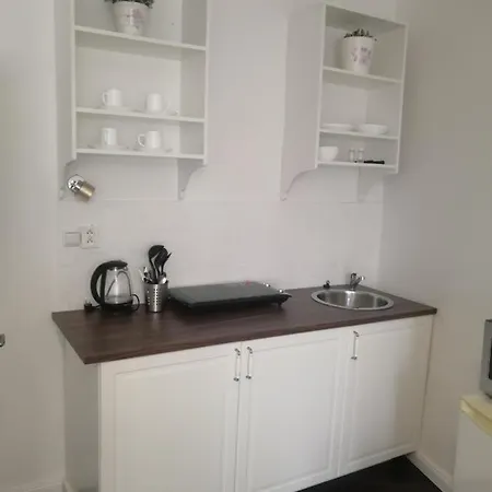 Apartment Apartma Zamechak Karlovy Vary